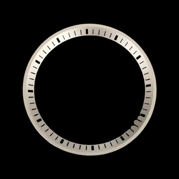 Silver with Black Markers Seiko SRPE Chapter Ring
